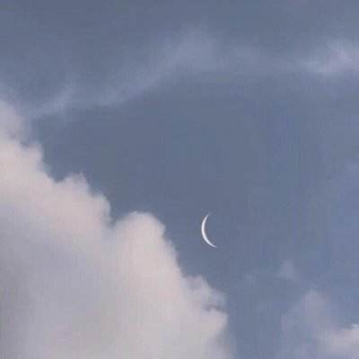 搜狐资讯嘻趣盒子下载